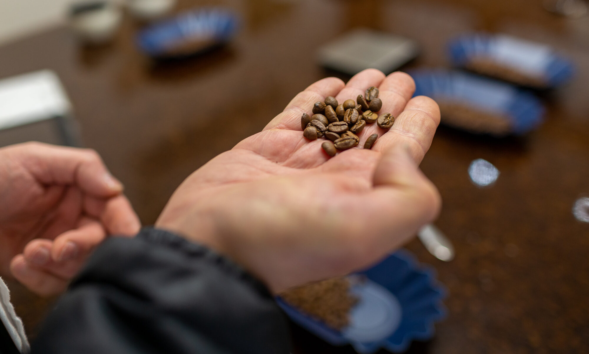 Adelaide Coffee Training